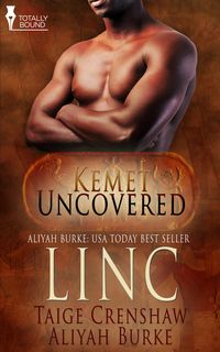 Produktbild: Linc