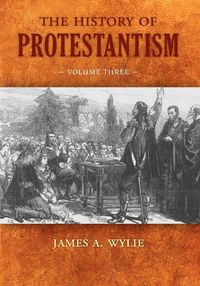 Produktbild: The History of Protestantism
