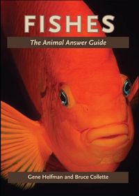 Produktbild: Fishes