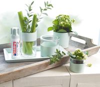 5200 Permanent Spray, mild mint matt, 200ml Premium Acryllack