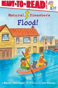 Produktbild: Flood!