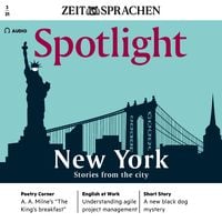 Produktbild: Englisch lernen Audio - Geschichten aus New York