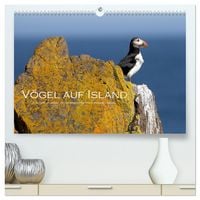 Produktbild: V&ouml;gel auf Island (hochwertiger Premium Wandkalender 2026 DIN A2 quer), Kunstdruck in Hochglanz