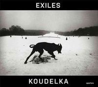 Produktbild: Josef Koudelka: Exiles