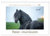 Produktbild: Friesen - stolze Giganten (Wandkalender 2026 DIN A4 quer), CALVENDO Monatskalender