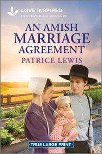 Produktbild: An Amish Marriage Agreement