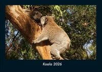 Produktbild: Koala 2026 Fotokalender DIN A4