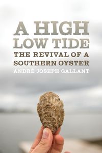 Produktbild: A High Low Tide