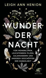 Produktbild: Wunder der Nacht