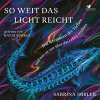 Produktbild: So weit das Licht reicht
