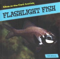 Produktbild: Flashlight Fish