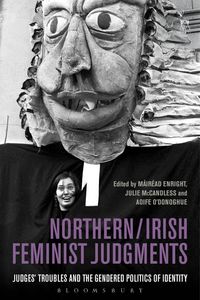 Produktbild: Northern / Irish Feminist Judgments