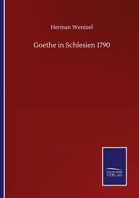 Produktbild: Goethe in Schlesien 1790