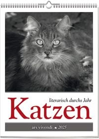 Produktbild: Katzen - Literarisch durchs Jahr 2025