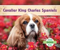 Produktbild: Cavalier King Charles Spaniels