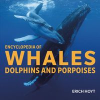 Produktbild: Hoyt, E: Encyclopedia of Whales, Dolphins and Porpoises