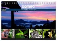 Produktbild: Borneo - Tierparadies Regenwald (Tischkalender 2026 DIN A5 quer), CALVENDO Monatskalender