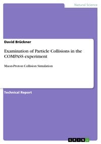 Produktbild: Examination of Particle Collisions in the COMPASS experiment