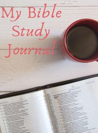 Produktbild: My Bible Study Journal