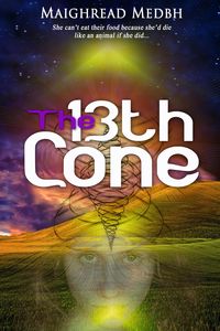 Produktbild: The 13th Cone