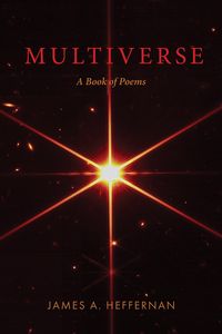 Produktbild: Multiverse