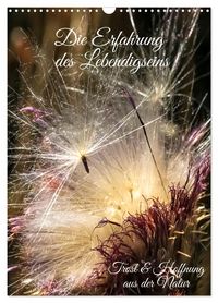 Produktbild: Die Erfahrung des Lebendigseins (Wandkalender 2026 DIN A3 hoch), CALVENDO Monatskalender