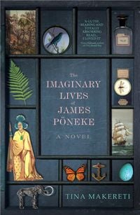 Produktbild: The Imaginary Lives of James Poneke