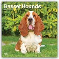Produktbild: Basset Hounds 2027 &ndash; 16-Monatskalender