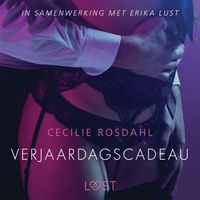 Produktbild: Verjaardagscadeau - erotisch verhaal
