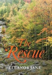 Produktbild: The Rescue