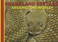 Produktbild: Snakes and Reptiles Around the World