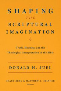 Produktbild: Shaping the Scriptural Imagination