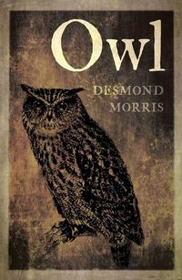 Produktbild: Owl
