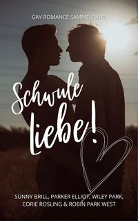 Produktbild: Schwule Liebe!