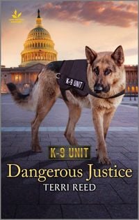 Produktbild: Dangerous Justice
