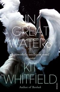 Produktbild: In Great Waters