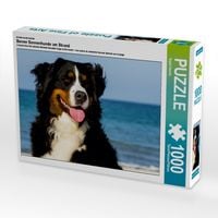 Produktbild: CALVENDO Puzzle Ein Motiv aus dem Kalender Berner Sennenhunde am Strand | 1000 Teile Lege-Gr&ouml;&szlig;e 64x48cm Foto-Puzzle f&uuml;r gl&uuml;ckliche Stunden