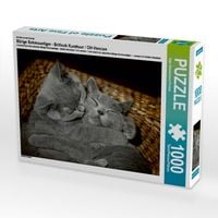 Produktbild: CALVENDO Puzzle Ein Motiv aus dem Kalender B&auml;rige Schmusetiger - Britisch Kurzhaar / CH-Version | 1000 Teile Lege-Gr&ouml;&szlig;e 64x48cm Foto-Puzzle f&uuml;r gl&uuml;ckliche Stunden