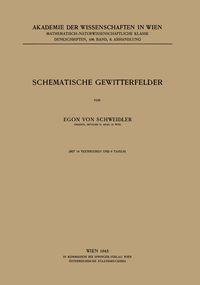 Produktbild: Schematische Gewitterfelder