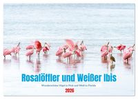 Produktbild: Rosal&ouml;ffler und wei&szlig;er Ibis (Tischkalender 2026 DIN A5 quer), CALVENDO Monatskalender
