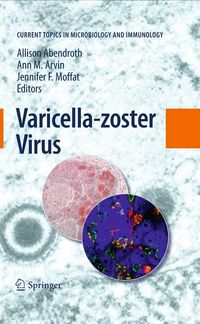 Produktbild: Varicella-zoster Virus