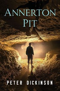 Produktbild: Annerton Pit