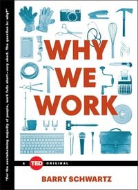 Produktbild: Why We Work
