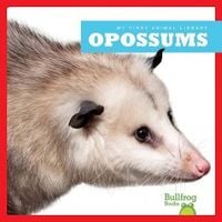 Produktbild: Opossums