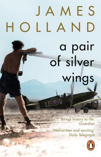 Produktbild: A Pair of Silver Wings