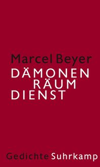 Produktbild: D&auml;monenr&auml;umdienst