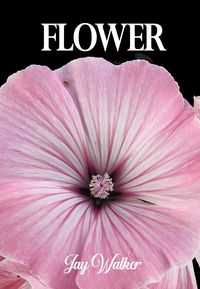 Produktbild: Flower