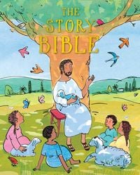 Produktbild: The Story Bible