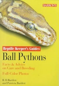 Produktbild: Ball Pythons Ball Pythons
