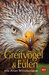 Produktbild BLV Greifvögel & Eulen